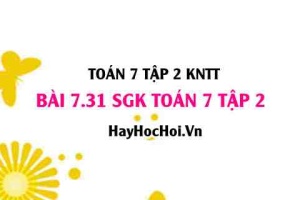 Bài 7.31 SGK Toán 7 tập 2 Kết nối tri thức